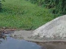 শ্রীনগরে অবৈধভাবে সরকারি খাল ভরাটের অভিযোগ