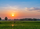মহম্মদপুর ঘোপ বাওড়ে মুগ্ধতার সূর্যাস্ত, গোধূলির রঙে অপূর্ব প্রকৃতি