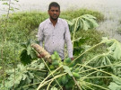 সাতক্ষীরায় জামায়াত নেতার নেতৃত্বে ঘের লুটপাট, ১০ লাখ টাকার ক্ষতি