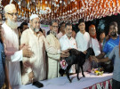 সোনাতলার জালে সোনাতলা,জমজমাট ফুটবল ম্যাচে ছাগল পুরস্কার