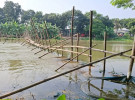 গোপালগঞ্জ খালে ‘বাঁশের বেড়া’ দিয় মাছ শিকার