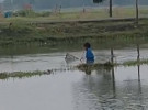 উপজেলা নির্বাহী কর্মকর্তা ও থানা ভারপ্রাপ্ত কর্মকর্তার নির্দেশ অমান্য 