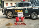 আমবাগান থেকে অবিস্ফোরিত ৪২টি ককটেল উদ্ধার