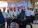 পাংশায় ২০ সুফলভোগীর মধ্যে বকনা বাছুর ও গোখাদ্য বিতরণ
