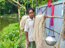 তিস্তায় মাছের আকাল, জেলেপল্লিতে ম্লান পূজার আনন্দ