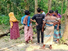 চাটমোহরে গাছ কাটতে গিয়ে নিচে পড়ে যুবকের মৃত্যু