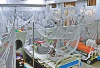 ডেঙ্গুতে একজনের মৃত্যু, আক্রান্ত ৩৮৬