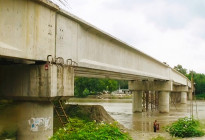 দুধ দিয়ে কালসাপ পুষছে টাঙ্গাইল এলজিইডি 