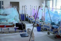 ডেঙ্গুতে আরও ২ মৃত্যু, হাসপাতালে ৩৮৬ জন