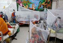 ৭ দিনে ডেঙ্গুতে ১৯ জনের মৃত্যু