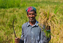 কৃষিতে খেলাপি ঋণ ২০ হাজার ৩০২ কোটি টাকা