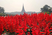 স্মৃতির রক্তিম আলোয় উদ্ভাসিত বিজয়ের দিন 