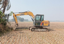 কোনোভাবেই থামানো যাচ্ছে না মাটিখেকোদের