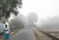 সালথায় হাড় কাঁপানো শীতে নাজেহাল জনজীবন