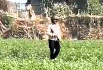 প্রকাশ্যে অস্ত্র ও ককটেল নিয়ে নির্বাচনী প্রচারণায় বাধা, একাধিক গুলিবিদ্ধ