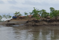 গোলাখালীতে যোগাযোগ, শিক্ষা-স্বাস্থ্য সংকটে ভোটাররা, এখনো যাননি কোনো প্রার্থী