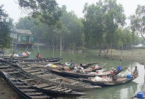 দুই মাস পর সুন্দরবনে কাঁকড়া আহরণ শুরু