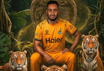 পিএসএলে বাংলাদেশি তারকাদের মেলা, নতুন মুখ শরিফুল