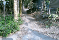 টাঙ্গাইলে গ্রামীণ অবকাঠামো ও সংস্কার কর্মসূচির লাখ লাখ টাকা আত্মসাতের অভিযোগ