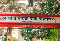 জামালপুরে শিশু ধর্ষণ মামলার আসামিকে ১০ বছরের আটকাদেশ