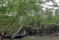 সুন্দরবনে মুক্তিপণের দাবিতে দুই বনজীবী অপহরণ