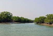 সুন্দরবন বাঁচাতে টানা ৩ মাসের নিষেধাজ্ঞা, সাতক্ষীরা উপকূলে বাড়বে দারিদ্র্যতা