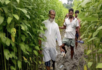আজও হয়নি সালথার সোনাডাঙ্গী গ্রামে যাতায়াতের সেই রাস্তাটি