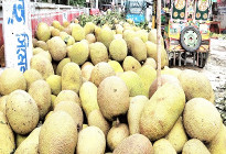 কাপাসিয়ায় ‘কাঁঠাল’র বাম্পার ফলন, দাম নিয়ে হতাশ কৃষকরা