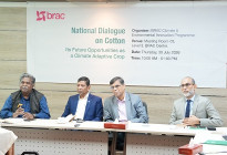 দেশে তুলা চাষের অপার সম্ভাবনা, প্রয়োজন সমন্বিত উদ্যোগ ও প্রণোদনা