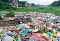 নদীতে ফেলা হচ্ছে মুকসুদপুর পৌরসভার বর্জ্য 