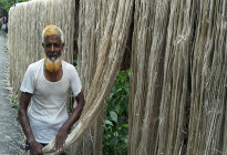 সোনাতলায় ৫১ কোটি টাকার পাট বিক্রির আশা