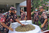 সাতক্ষীরায় বিজিবির অভিযানে ৬ কোটি টাকার ‘কুশ’ জব্দ, আটক ১