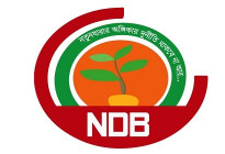 দেশের ২৩তম রাষ্ট্রপতি হিসেবে মির্জা ফখরুলকে চান এনডিবি