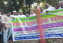 কানাইপুরে একাধিক বৃক্ষরোপন কর্মসূচির উদ্বোধন করলেন এমপি নায়াব ইউসুফ 