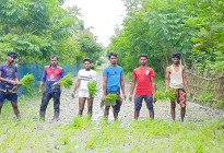 রাস্তা সংস্কার না হওয়ায় ধান রোপণ করে প্রতিবাদ