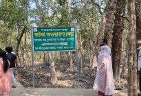 সুন্দরবনে ৩ দিন ধরে টেলিটকের নেটওর্য়াক নেই, বিপাকে পর্যটকসহ জেলে বনরক্ষীরা