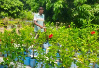 চাকুরি ছেড়ে আঙিনায় শখের নার্সারি, তাতেই সুচিত্র'র কর্মসংস্থান