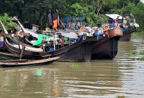 উত্তাল বঙ্গোপসাগর, সুন্দরবনসহ উপকূলে আশ্রয় নিয়েছে শতশত ফিশিং ট্রলার