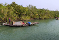 সুন্দরবনে ড্রোন উড়িয়ে নিস্ফল অভিযান, নিরাপত্তা চান জেলে-মহাজনরা