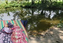 কলারোয়ায় পানিতে ডুবে দুই শিশুর মৃত্যু