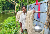 তিস্তায় মাছের আকাল, জেলেপল্লিতে ম্লান পূজার আনন্দ