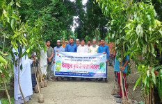 নগরকান্দায় বিনামূল্যে বারি আম-৪ জাতের চারা বিতরণ 