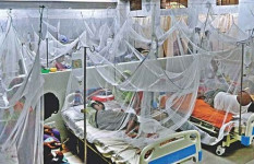 এক সপ্তাহে ডেঙ্গুতে ১২ জনের মৃত্যু