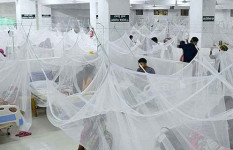 ডেঙ্গুতে আরও ৩ জনের মৃত্যু, হাসপাতালে ৬৮৫