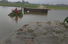 সোনাতলায় বর্ষায় রাস্তা ভেঙে খাদে পরিনত, ভরসা নৌকা