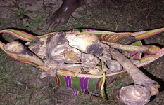 নড়াইলে খাল থেকে মানুষের কঙ্কাল উদ্ধার 