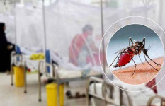 ডেঙ্গুতে গেল আরও ৪ প্রাণ