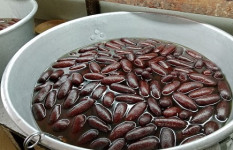 শক্তিগড়ের ল্যাংচায় বাঙালির নস্টালজিয়া