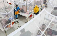 ডেঙ্গুতে আরও ৫ জনের মৃত্যু