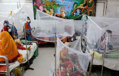 ৭ দিনে ডেঙ্গুতে ১৯ জনের মৃত্যু